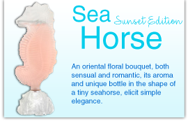 Sea Horse Sunset